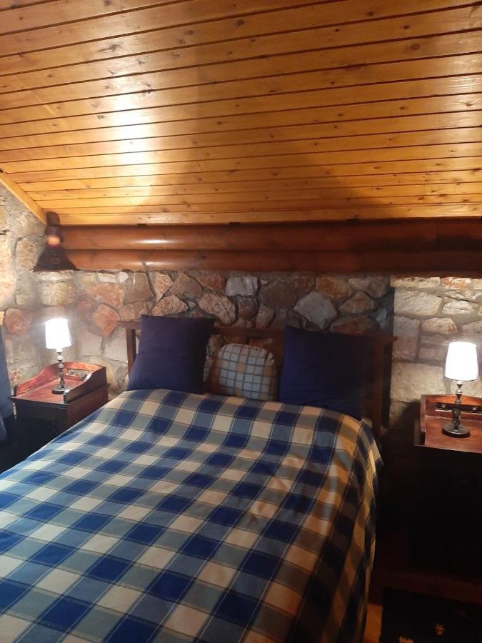 Mouses Chalet Lydia Επτάλοφος Παρνασσού Βίλα Εξωτερικό φωτογραφία